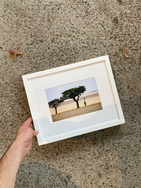 A Safari Pic In A Super Nice Frame, 12x15”