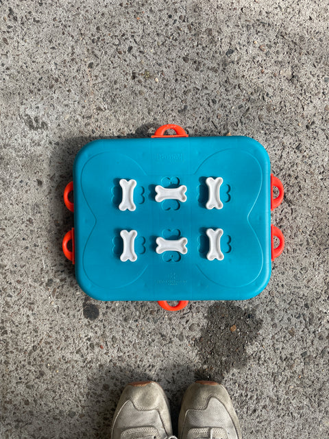 Nina Ottosson Montessori Dog Treat Puzzle