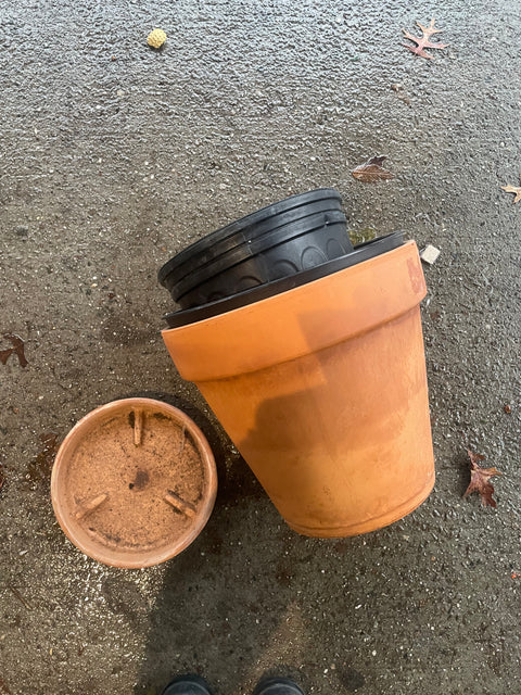 Large Terracotta Pot, Dish & Liners - XX inches