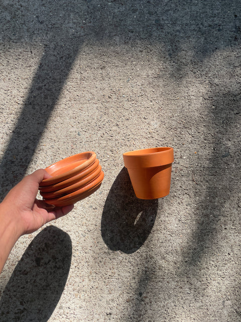 Terracotta Pot & Plates