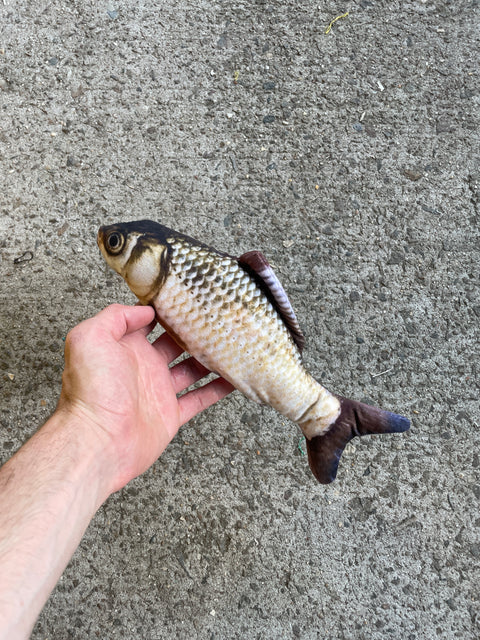 A Lil’ Dancing Fish