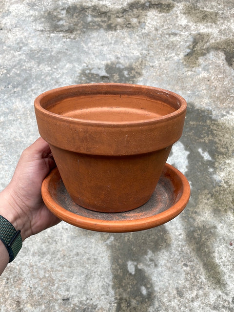 Shmedium Plant Pot