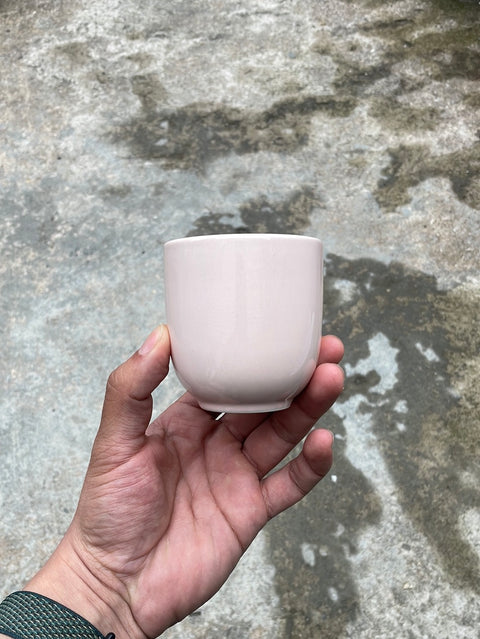 Lil’ Pink Teacup