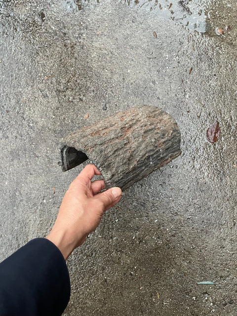 A False Log to Hide a Rock Under