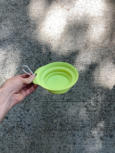 Collapsible Dog Bowl