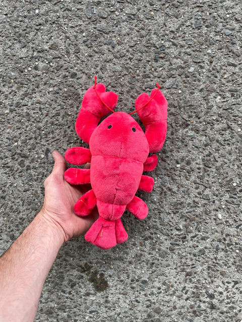 Lil’ Lobster Plush From Maine?