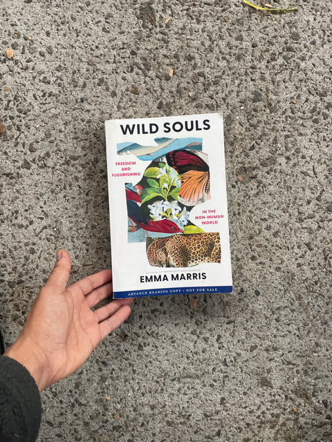 Wild Souls by Emma Harris