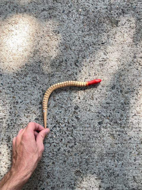 Fun Wood Snake