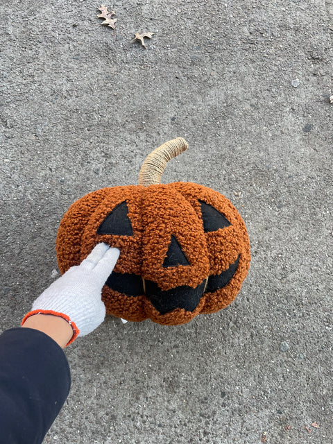 Pottery Barn Soft Pumpkin Pillow (for a Dog?)