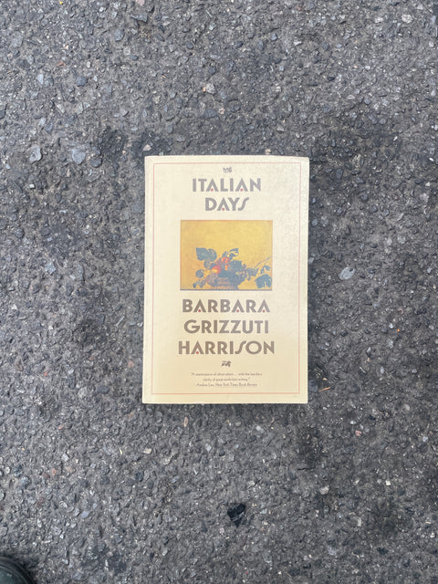 Italian Days by Barbara Grizzuti Harrison