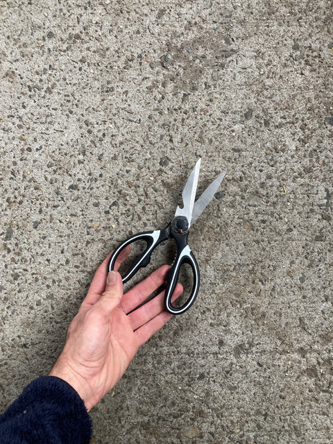 Pair Or Kitchen Scissors