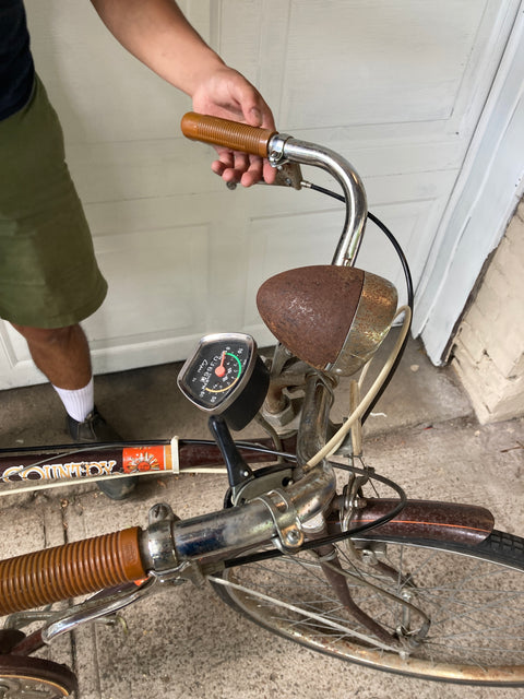 Vintage Countryside Cruiser Bike