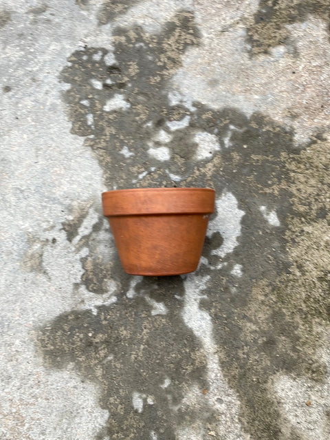 Terracotta Pot