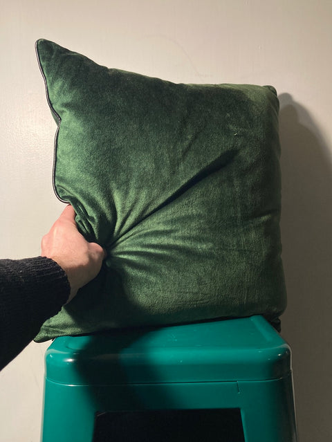 CB2 Crushed Velvet Pillow