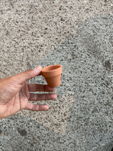 The Tiniest Lil’ Plant Pot