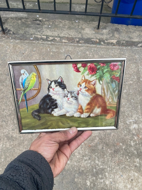 Beginning of the End Framed Cat Picture