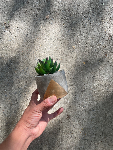 Lil’ Succulent Pot