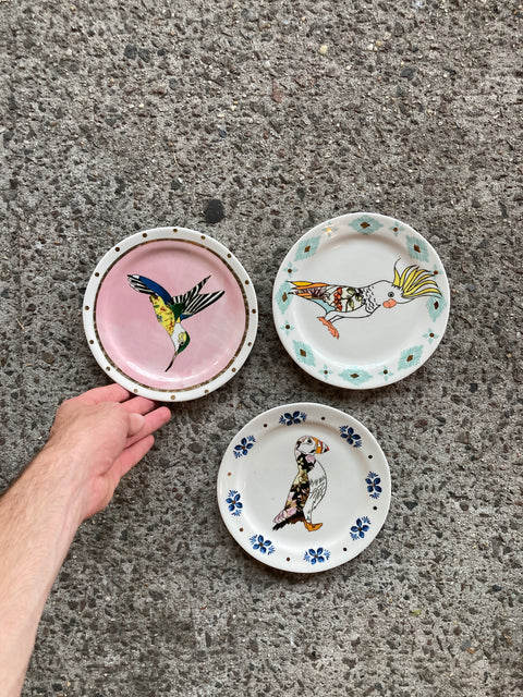 Birds Birds Birds Dessert Plates