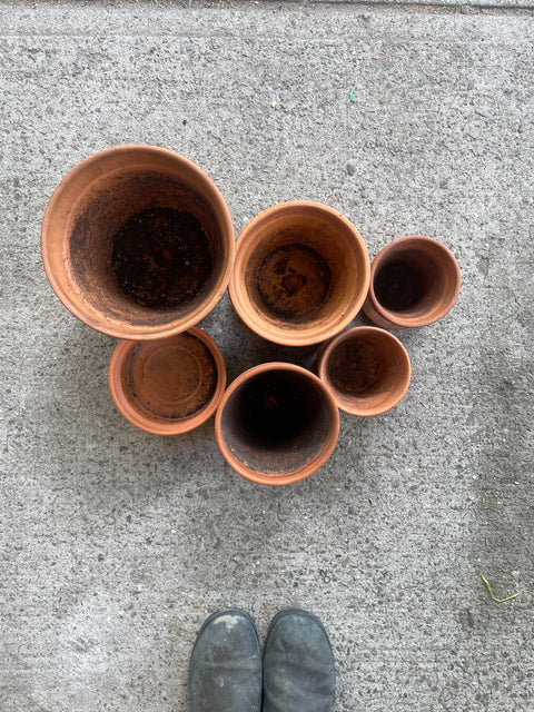 6 Terracotta Pots & Plates