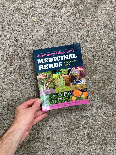 A Beginner’s Guide To Medicinal Herbs