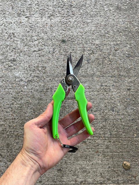 Gardening Pruning Shear