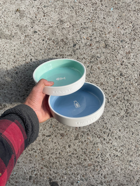 Pet Food & Water Dish Set