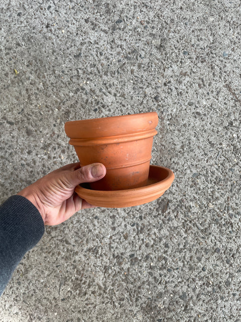 Lonesome Dove Terra Cotta Pot