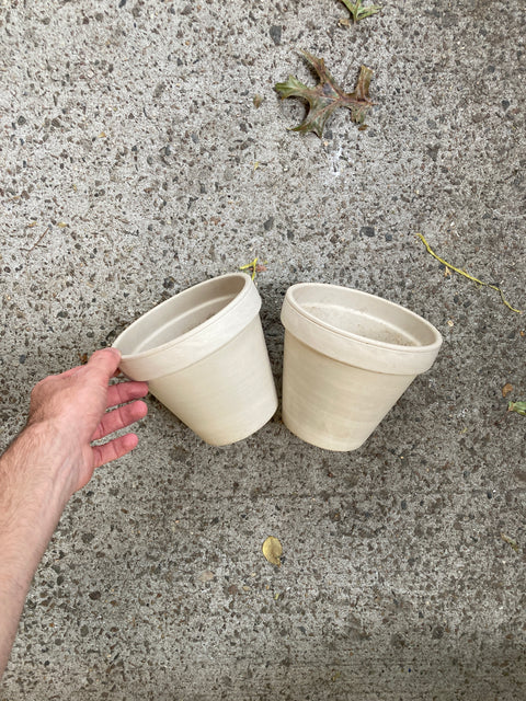 Two White Terracotta Pots, 6.5” Wide