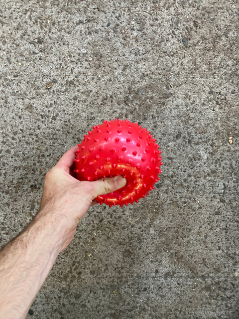 A Squishy Ball You Can Throw To Your Dog