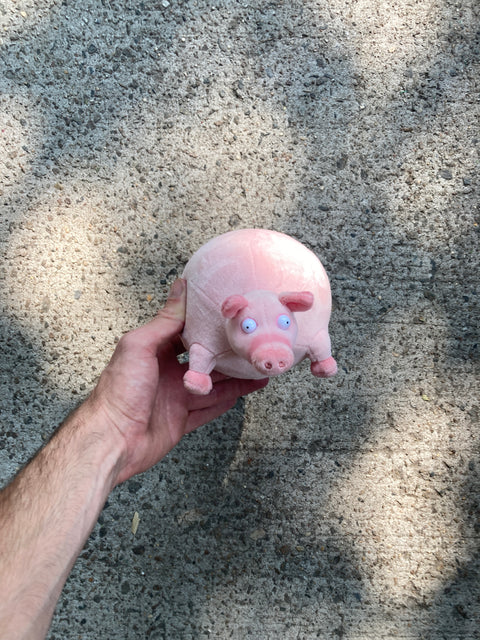 Crazy Pig Plush