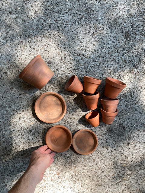 Whole Bunch Of Small Terracotta Pots