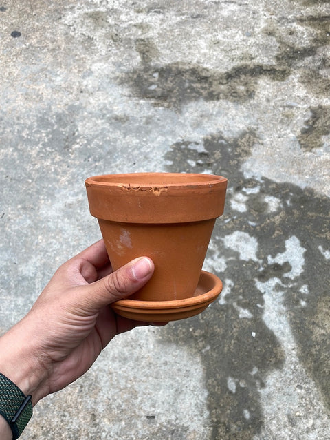 Lil’ Plant Pot