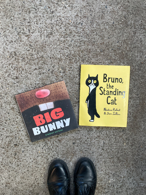 Big Bunny & Bruno The Standing Cat Children Illustrated Books