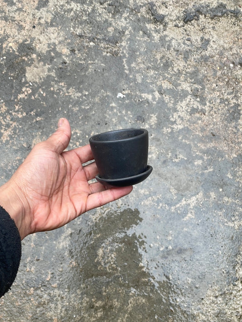 Tiny Plant Pot