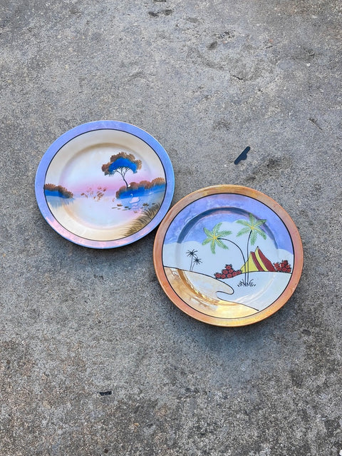 Decorative Plates Pair