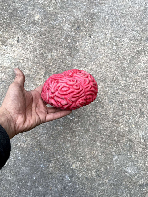 A Brain, Not a Real One