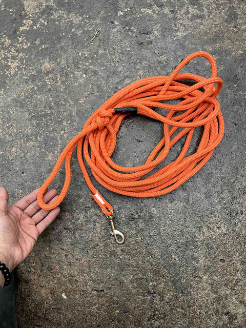 A Madddddd Long Orange Leash