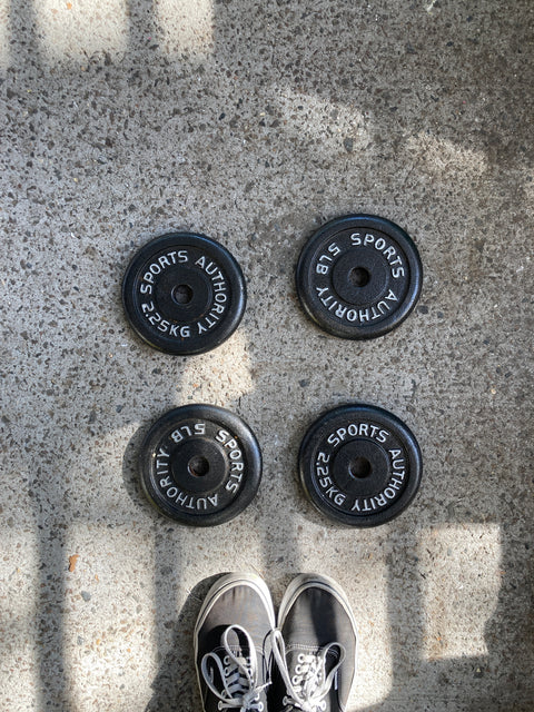 4 Weights of 5lbs Each