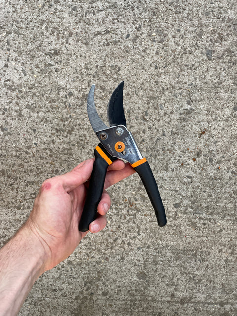 Fiskars Pruner