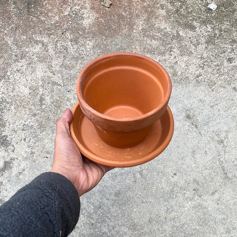 Terracotta Pot and Dish