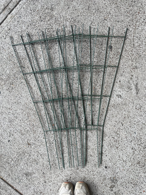 6 Plant Trellises, H36"