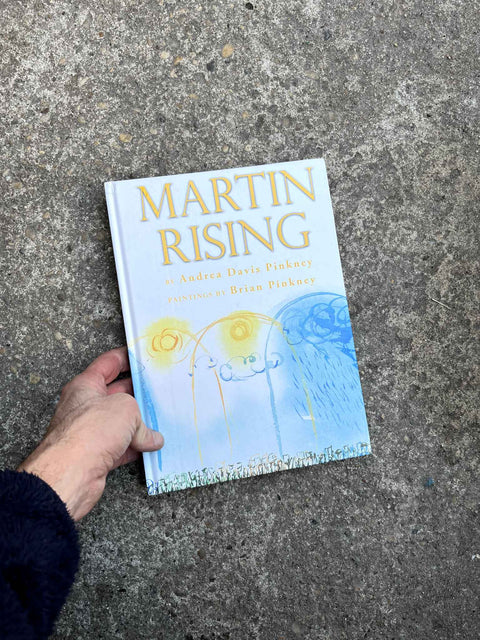 Beautiful Illustrated Book on MLK