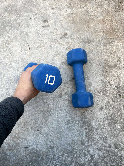 Blue 10# Dumbbell Set