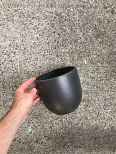 The Sill Matte Plant Pot, 7”