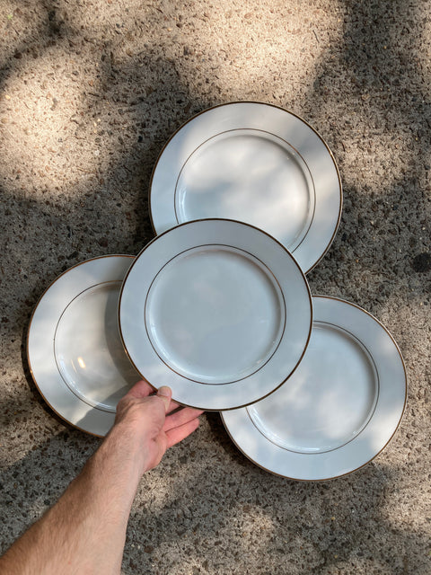 Set of 4 Dinner Plates