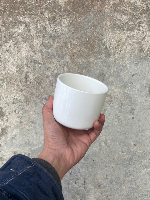 Small White Plant Pot