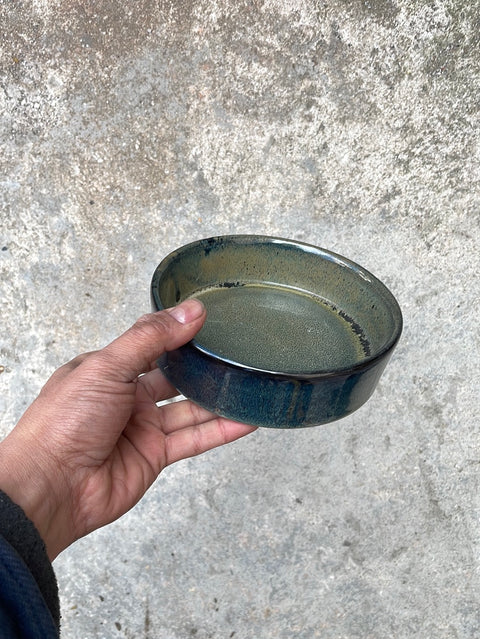 Ceramic Plant Dish