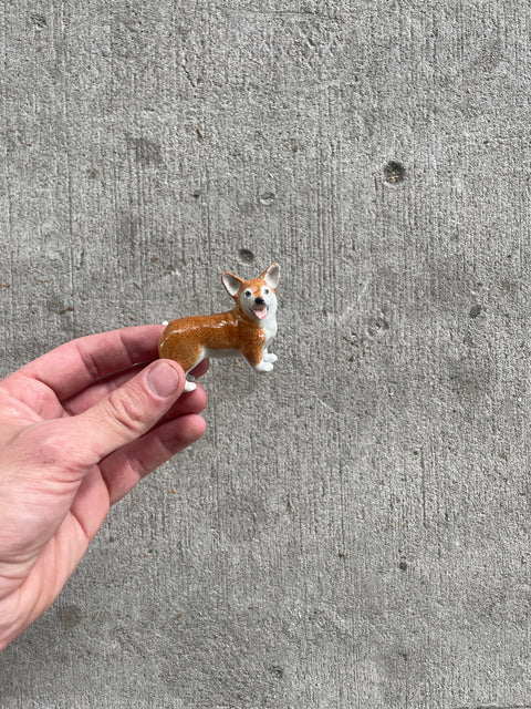 Mini Corgi