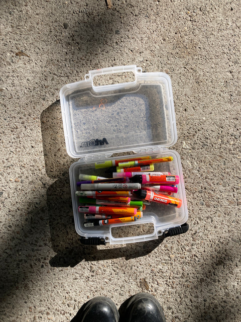 Bunch Of Acrylic Brush Pens In ArtBin Case