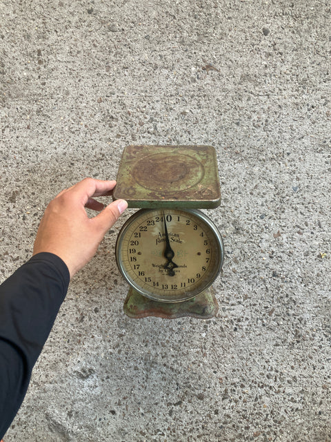 Vintage American Family Scale